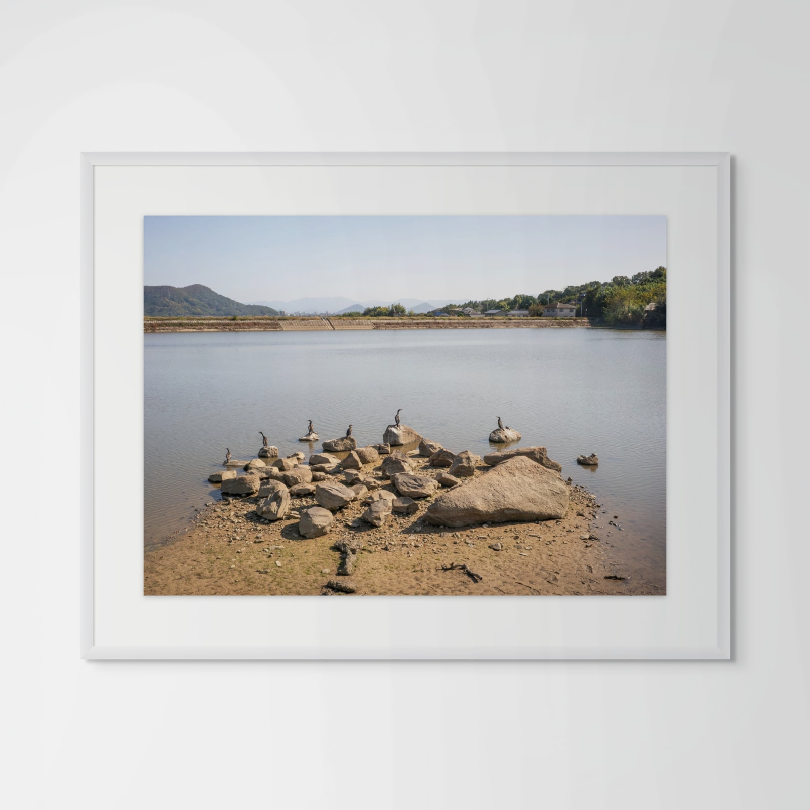 William Wylie, Shikoku 17-78, 2024