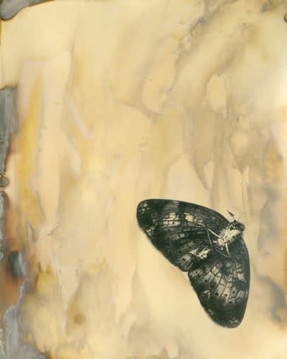 Angela Franks Wells, Porch Light I, 2021