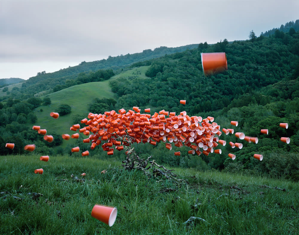 Thomas Jackson, Cups no. 3, 2014