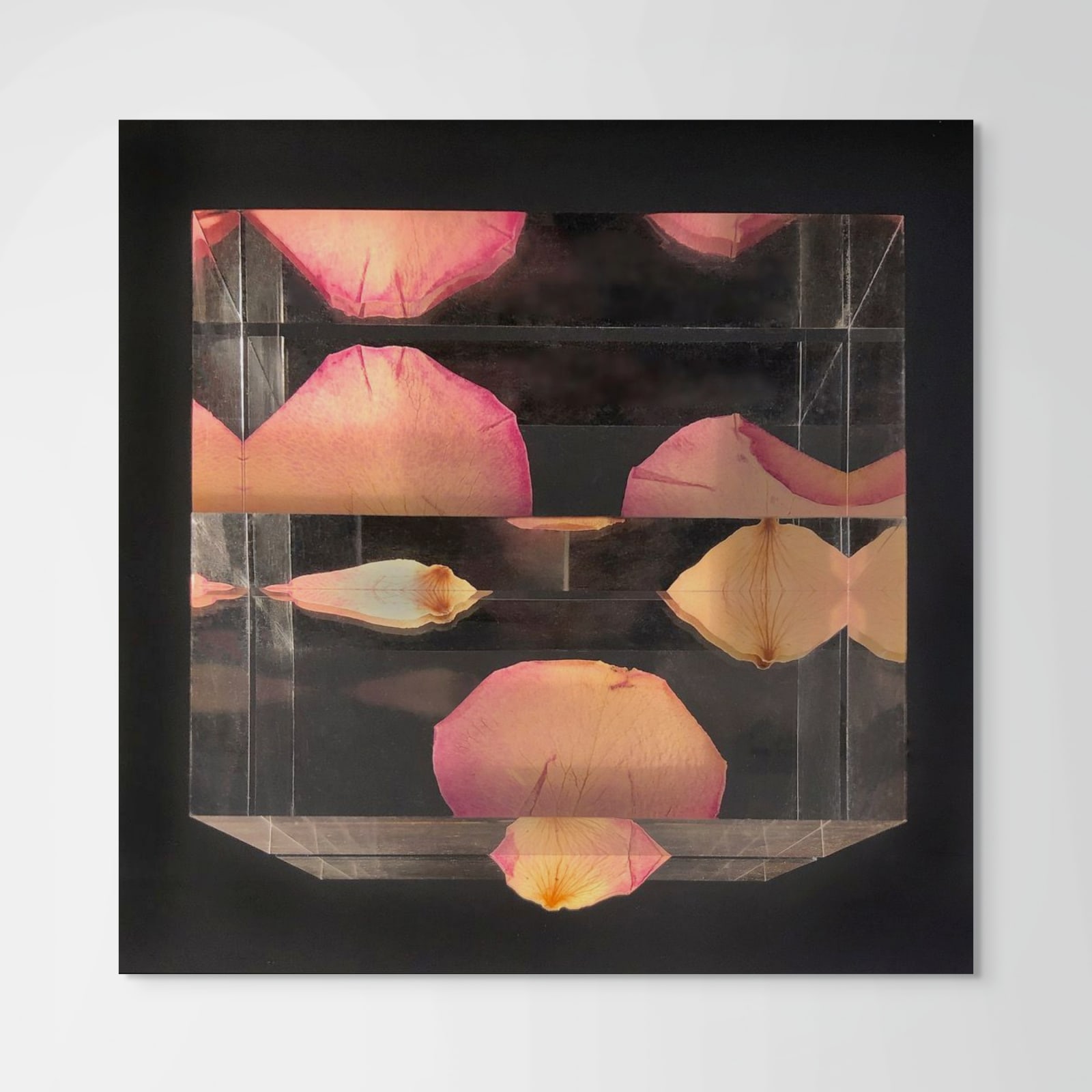 John Grant, Abstract Views 6, 2023