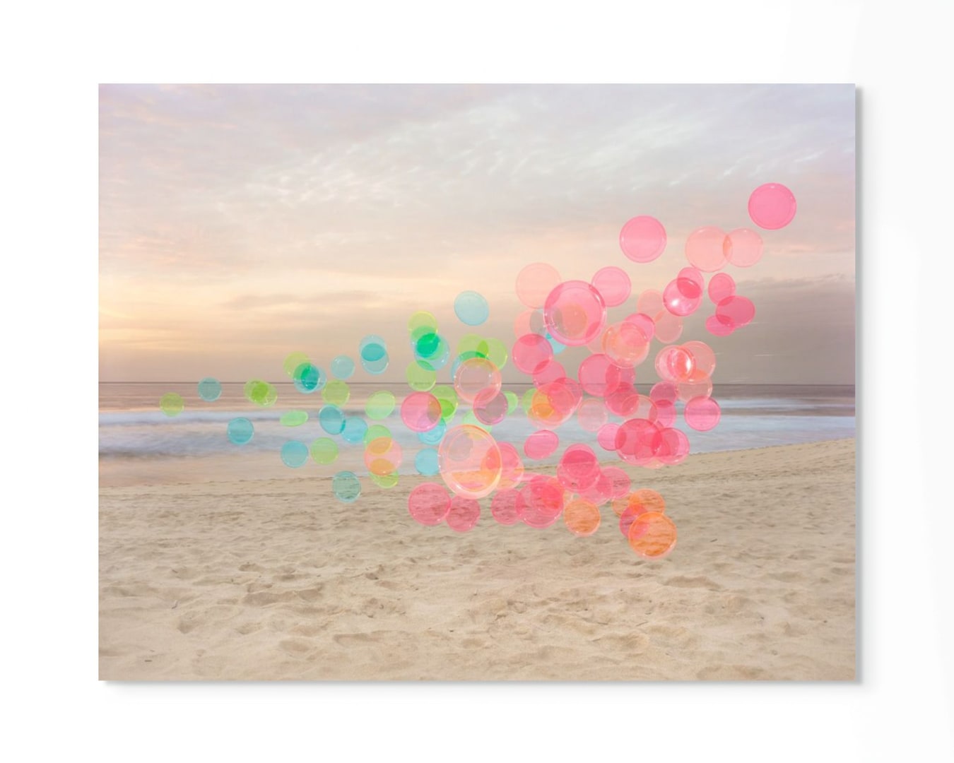 Thomas Jackson, Plates No. 5, Montara, California, 2017