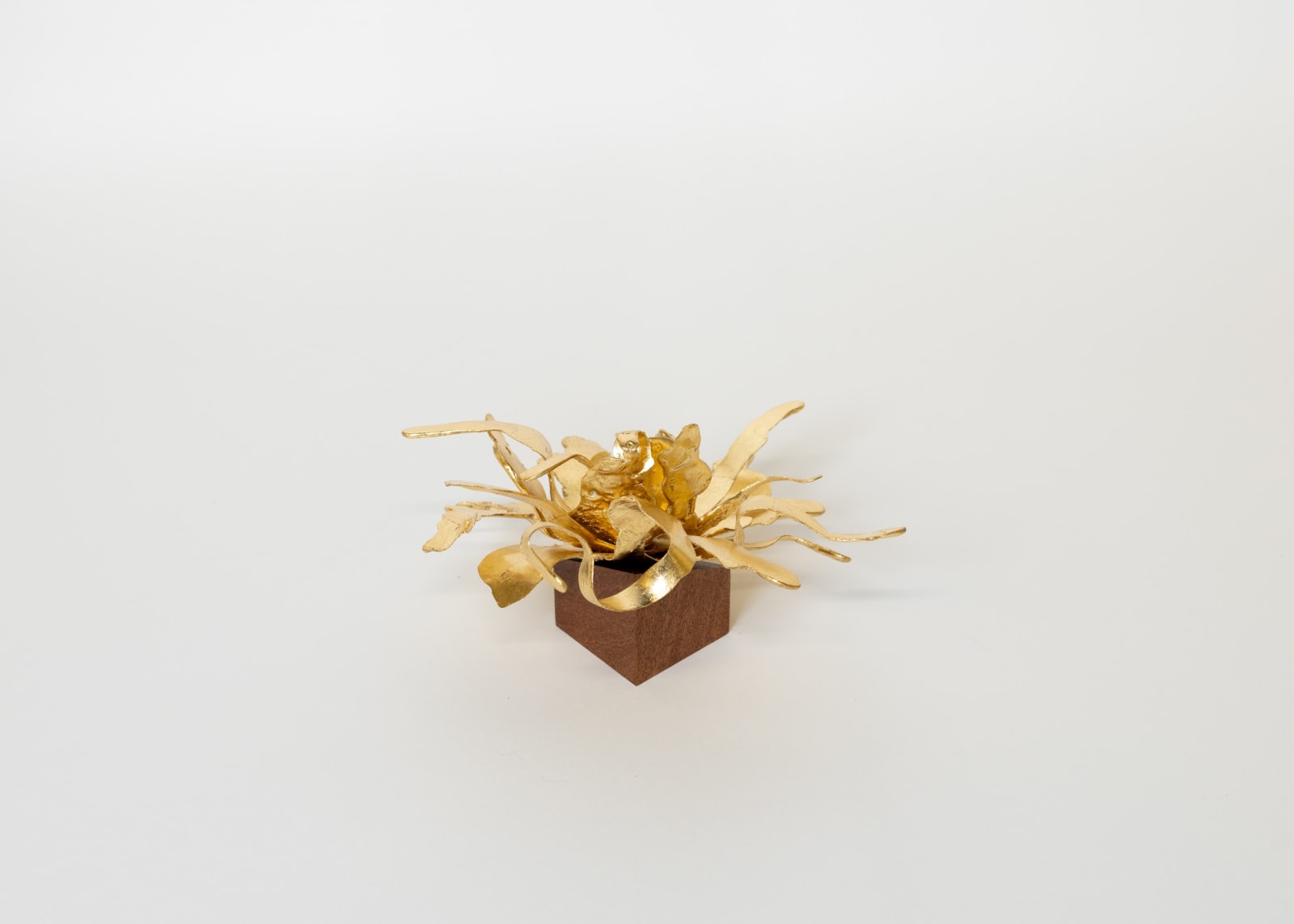 Peter Cochrane, The Alchemist’s Garden, 2025