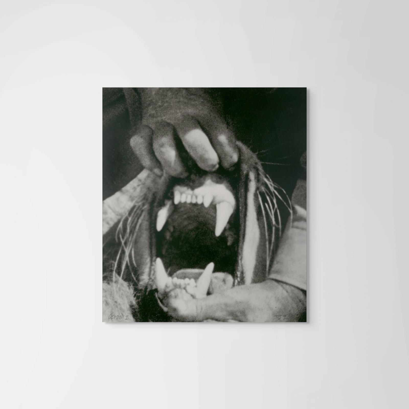 John Baldessari, Hands & Feet: Hands. Tiger & Teeth, 2017