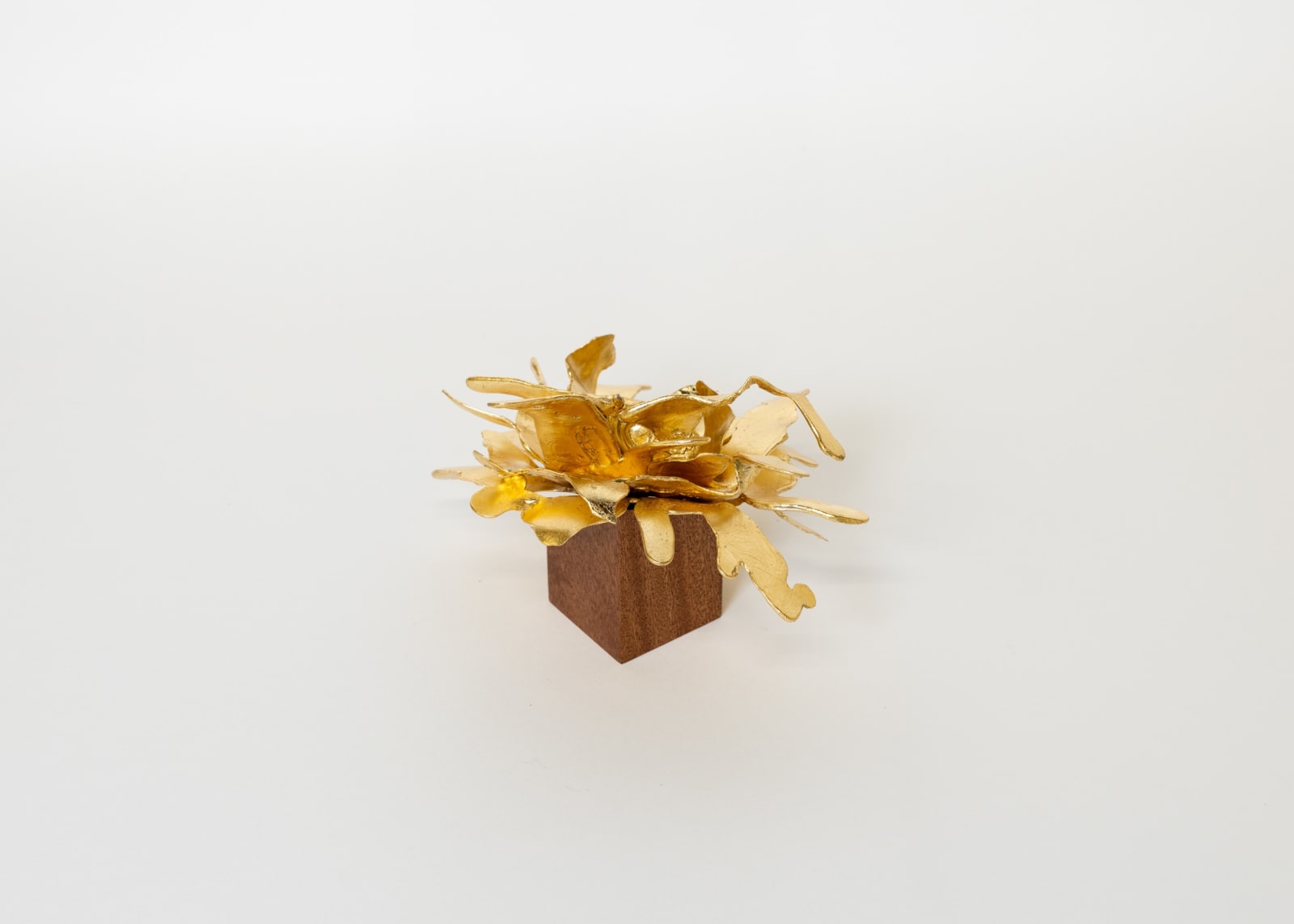 Peter Cochrane, The Alchemist’s Garden - Gold