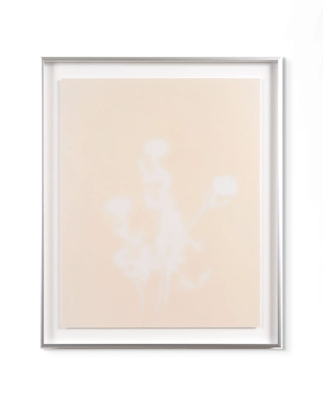 Peter Cochrane, The Magician Longs to See - Climbing Rose (White), 2024