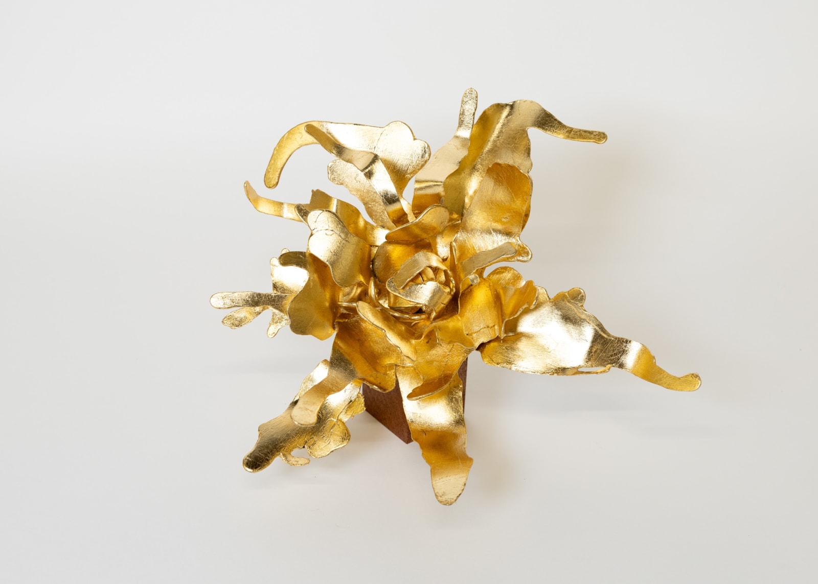 Peter Cochrane, Flower 05, 2025