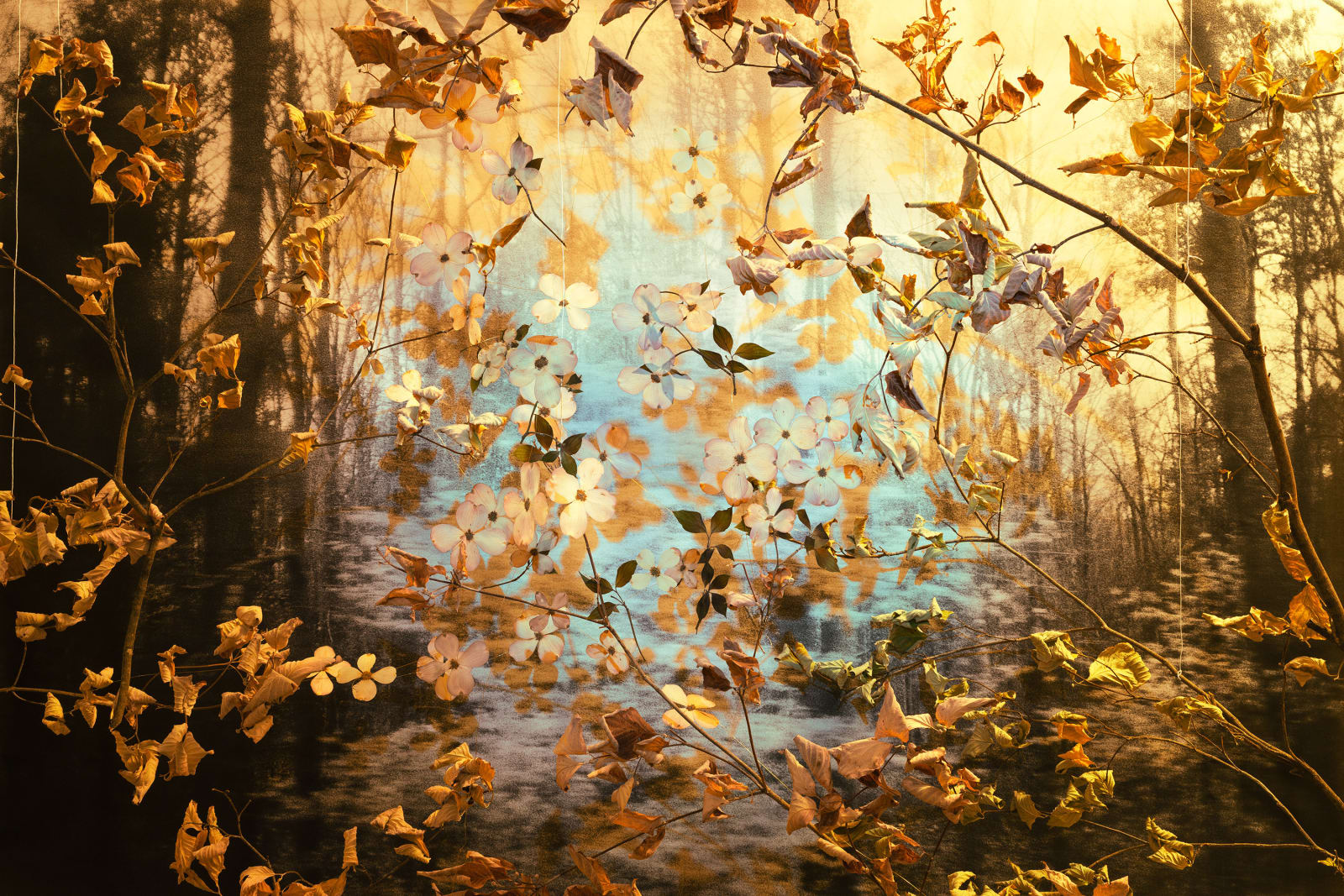 Peter Cochrane, The State Flower of Virginia is Actually a Tree, 2024