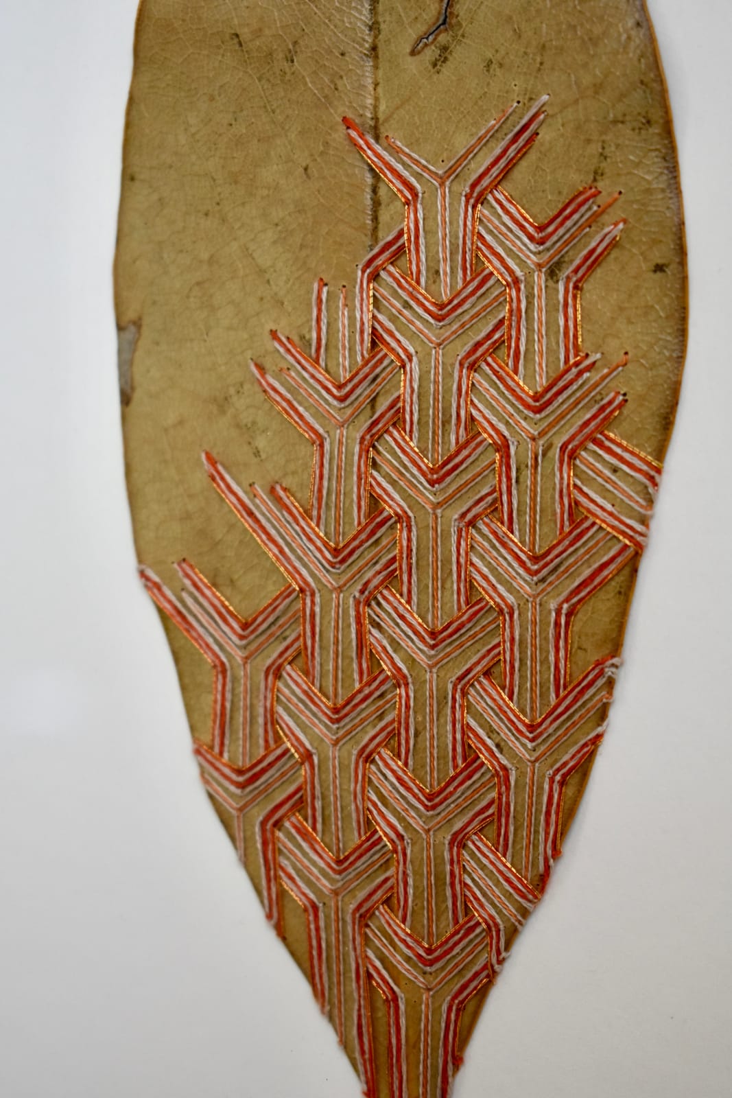 Hillary Waters Fayle, Pattern Overlays ii, 2022