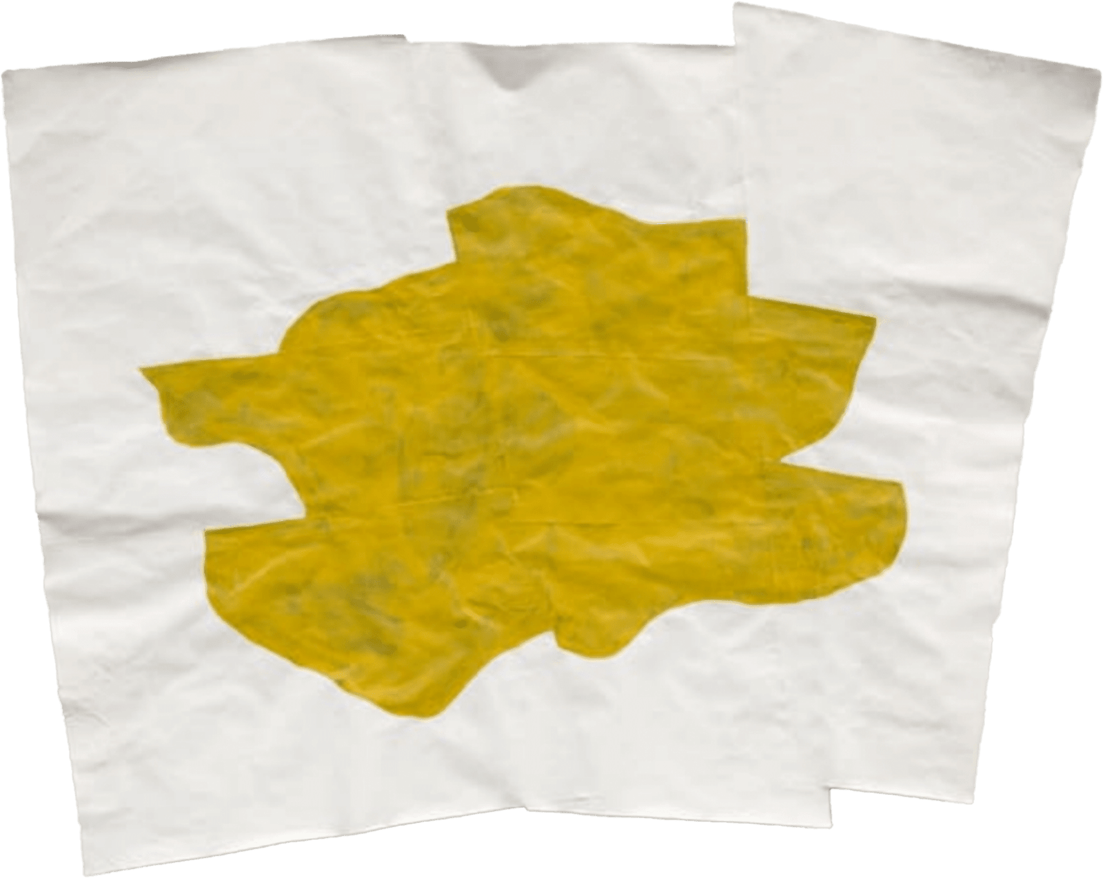 Nancy Murphy Spicer, Disrupted Drawing Large 13, 2013