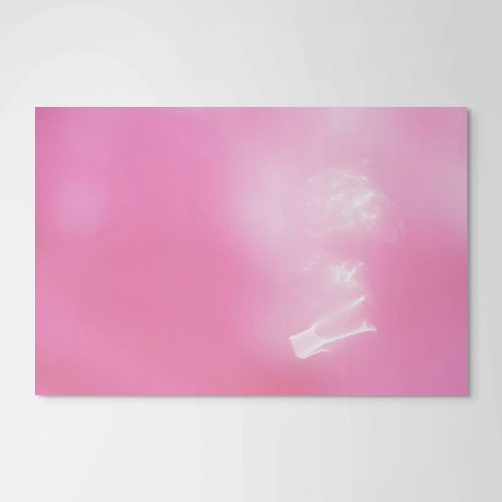 Jennifer Eason, Untitled 2 (from the Echo Cove series), 2013