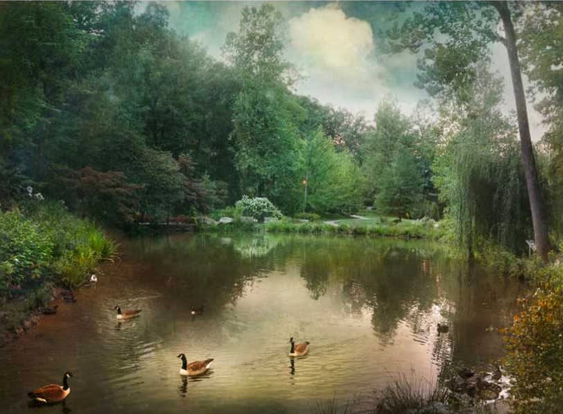 David Douglas, Wrong Way Goose, 2025
