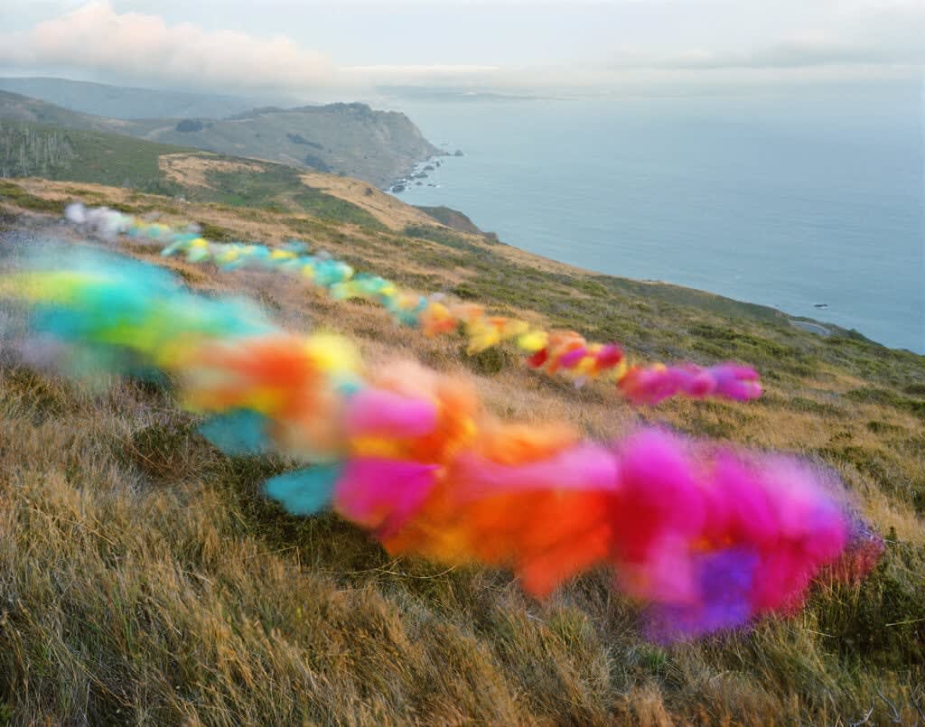 Thomas Jackson, Tulle no. 12, Stinson Beach, CA, 2020