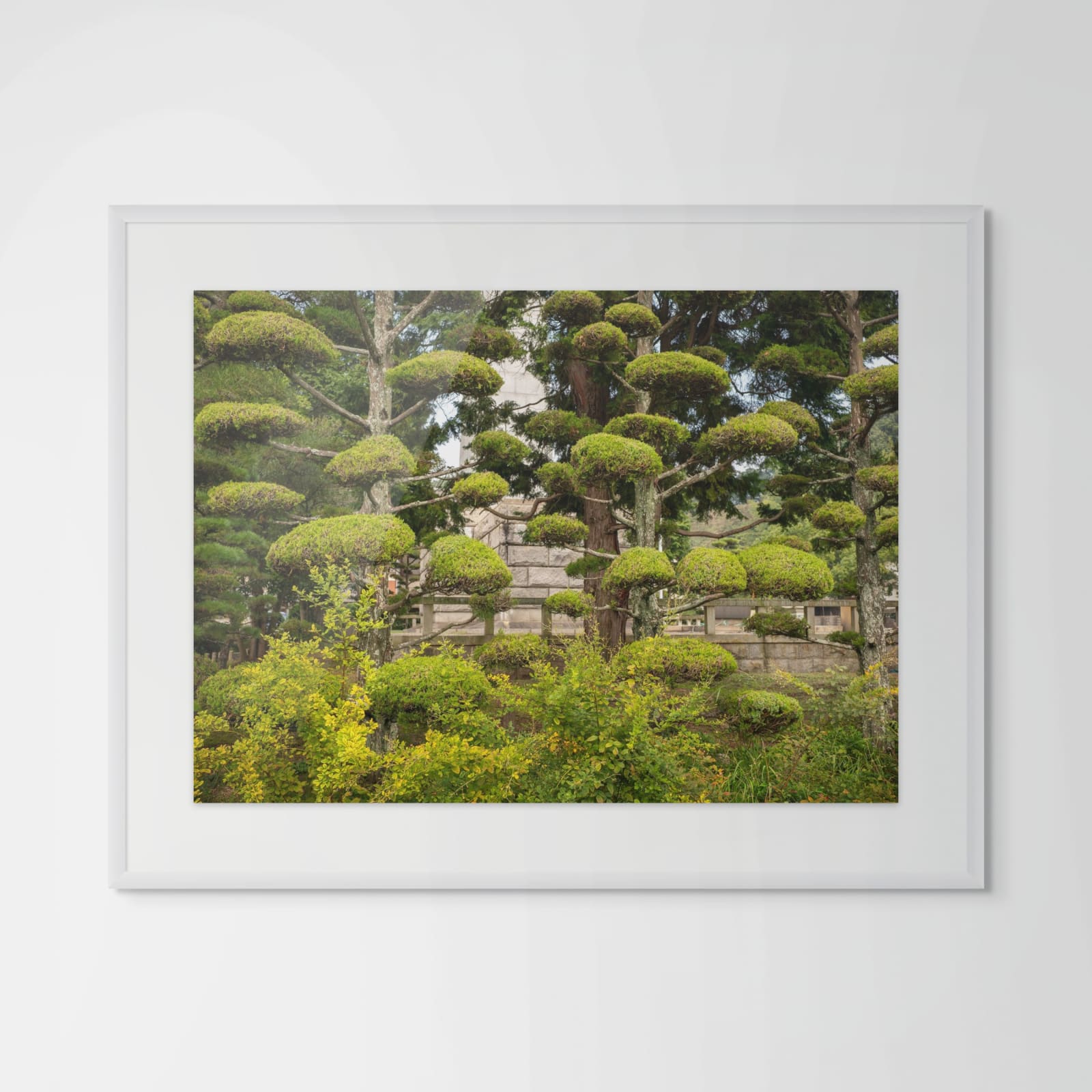 William Wylie, Shikoku 17-64, 2024