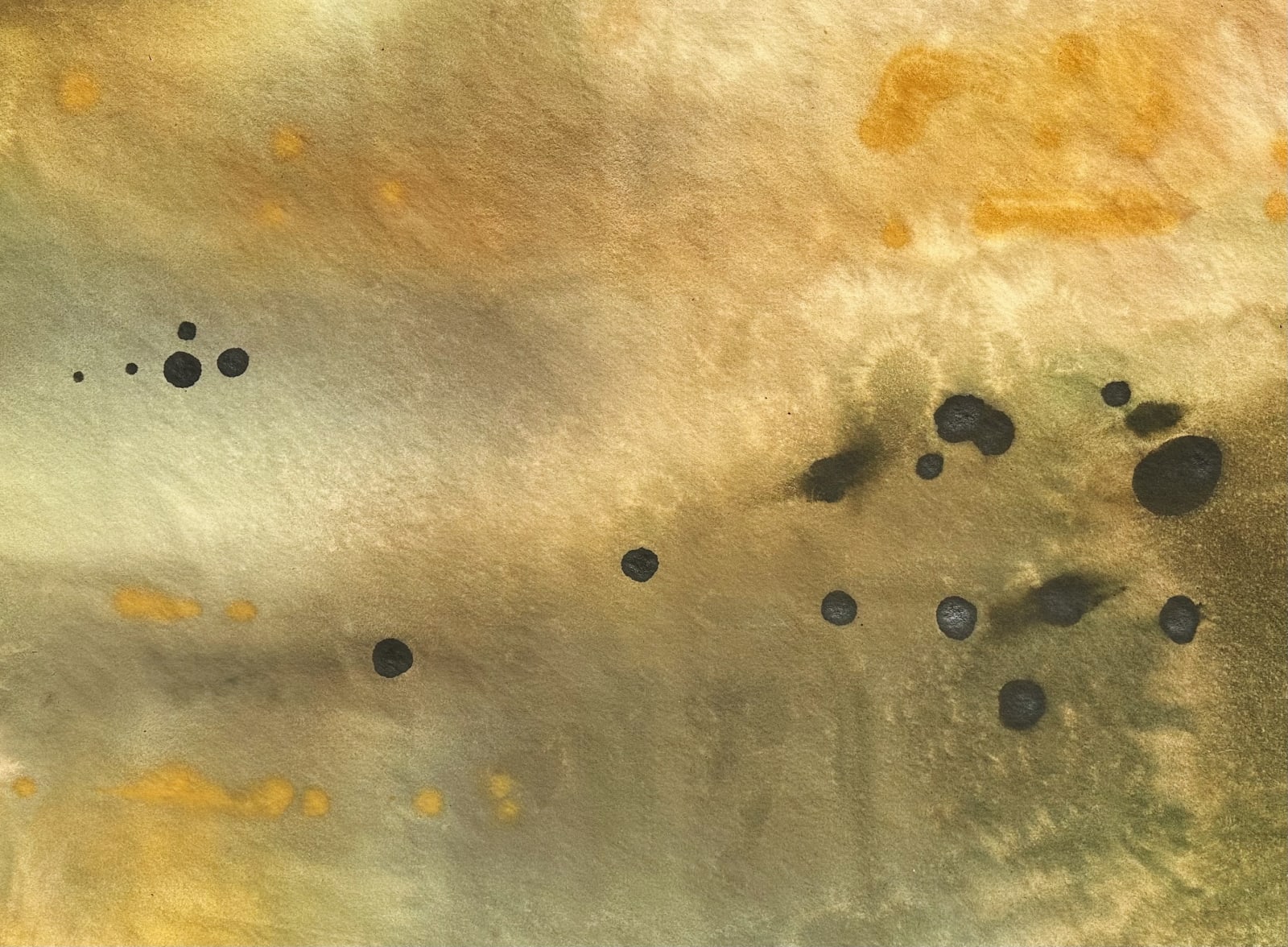 Jane Nichols, Where the Wind Blows, 2025