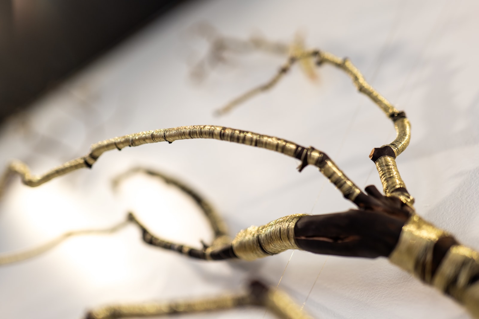 Peter Cochrane, A Continuum, 2025