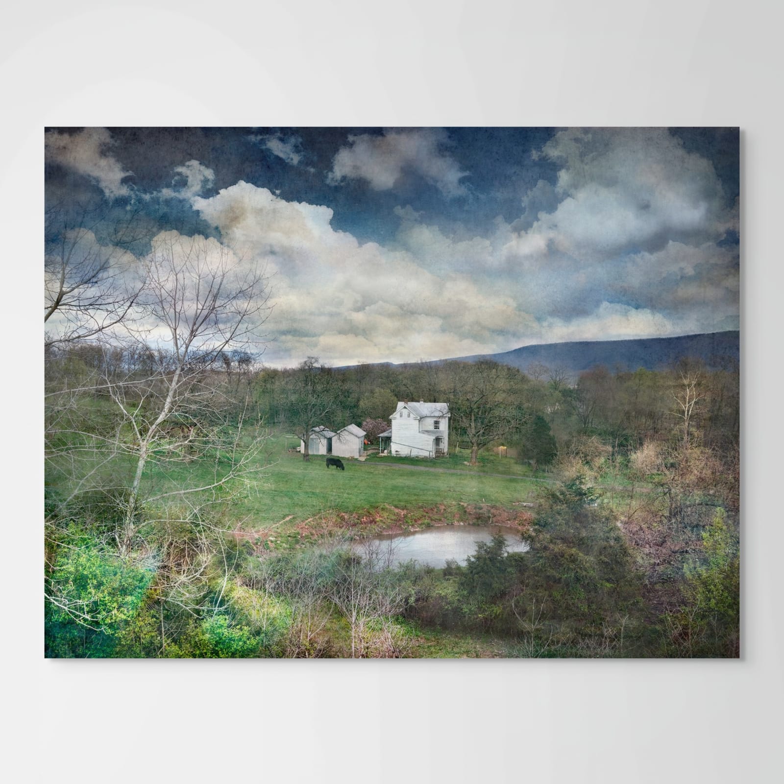 David Douglas, Off 81 Again, 2024