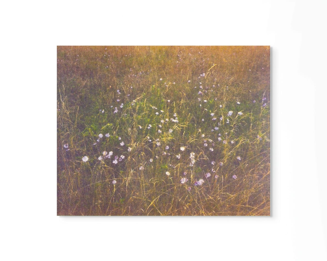 Peter Cochrane, Year One, Spring, 2020