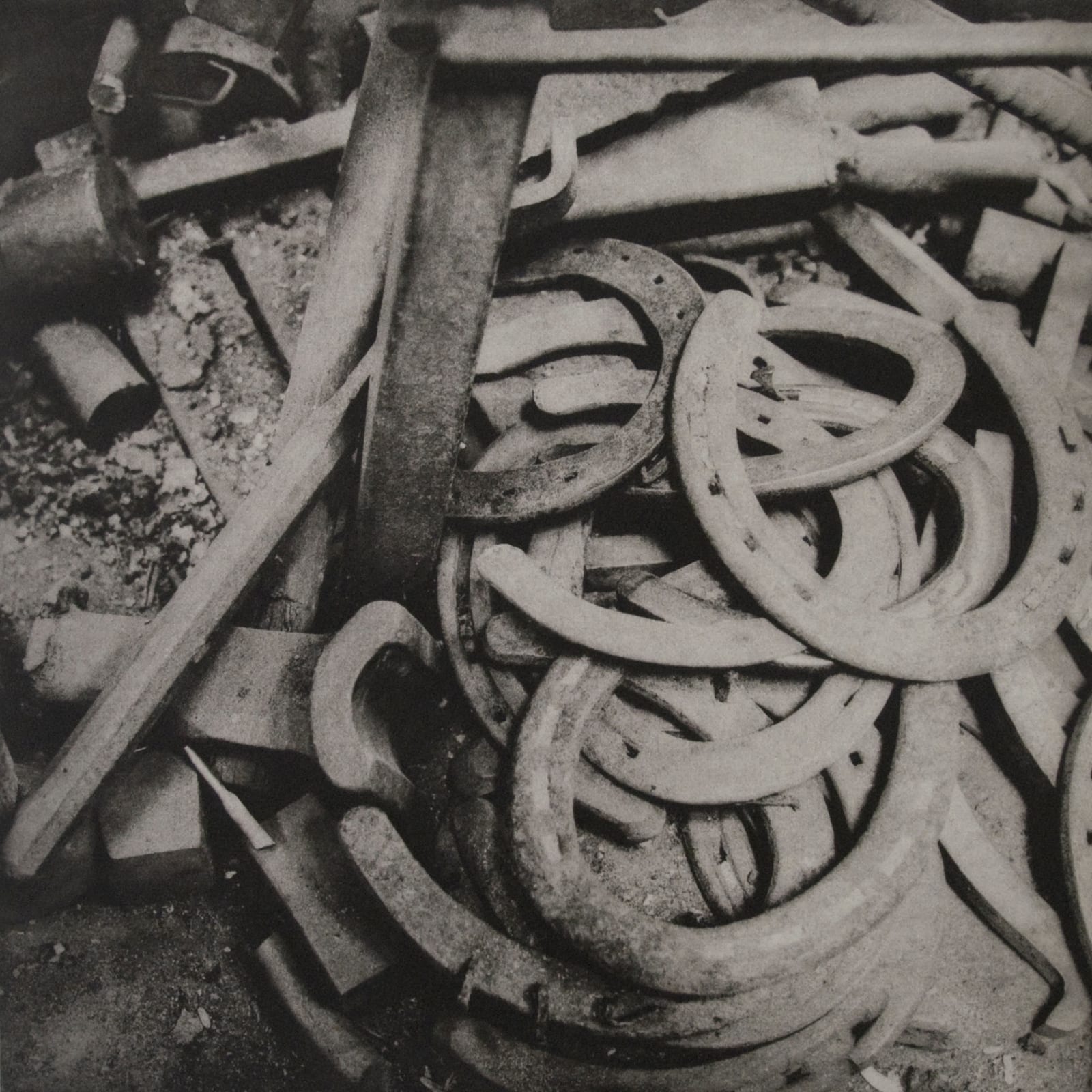 Angela Franks Wells, Lucky, 2006