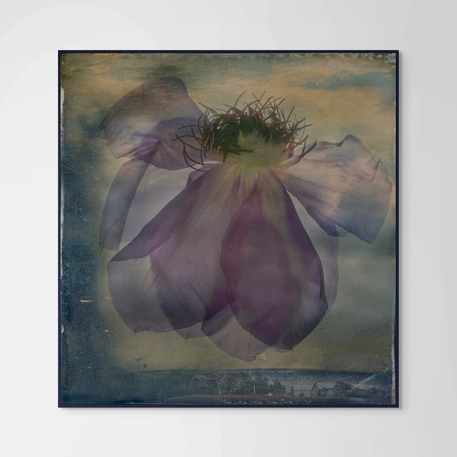John Grant, Clematis Rising (from Fairy Tales and Reveries series), 2008