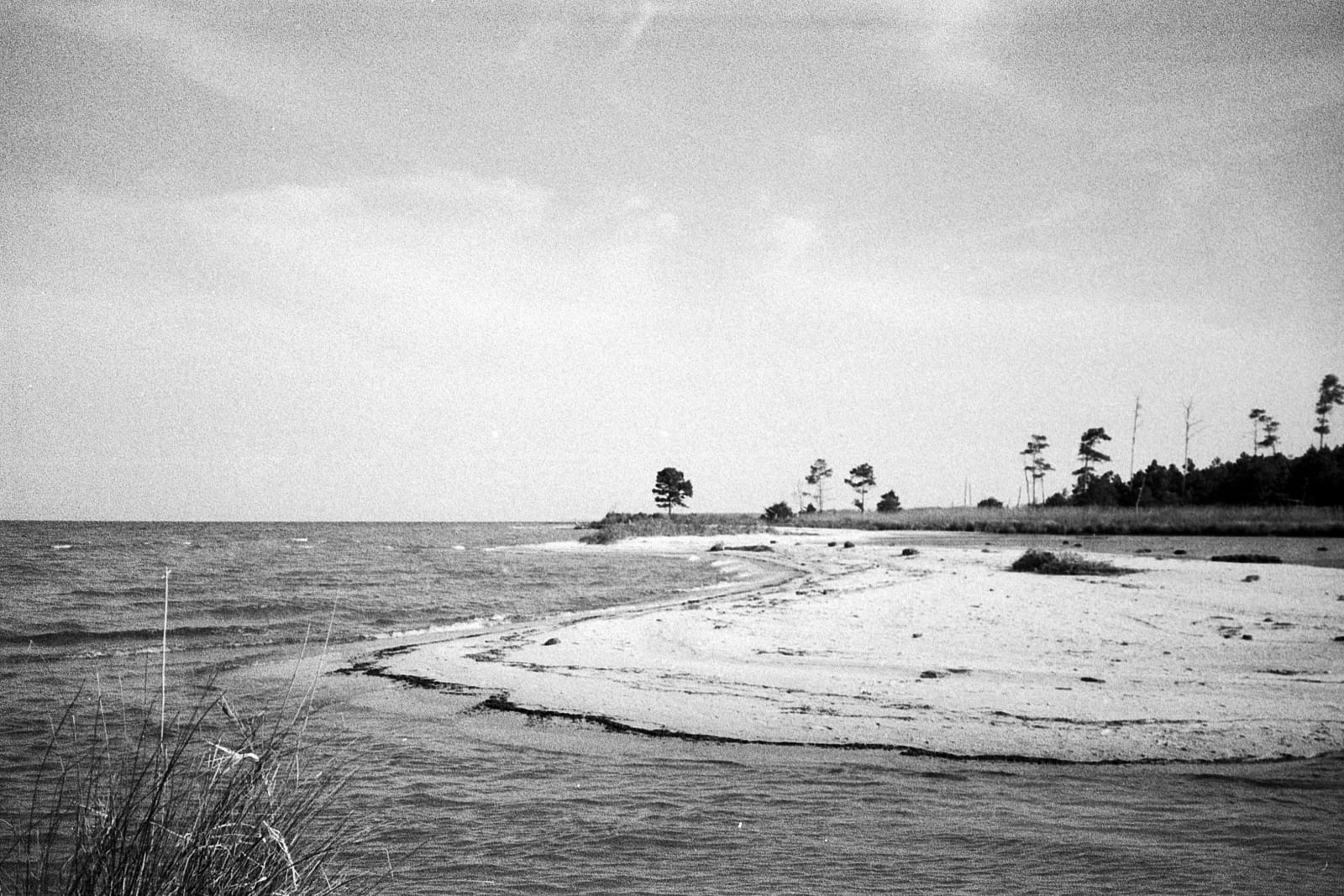 Cate Duckwall, Chesapeake, 2022