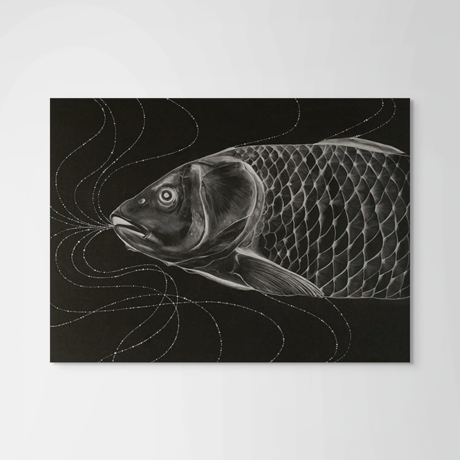 Kazaan Viveiros, Reverse Carp, 2011