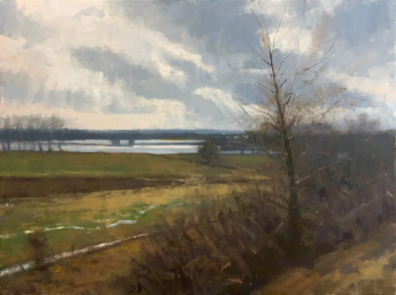 Frank Hobbs, Flooded Fields