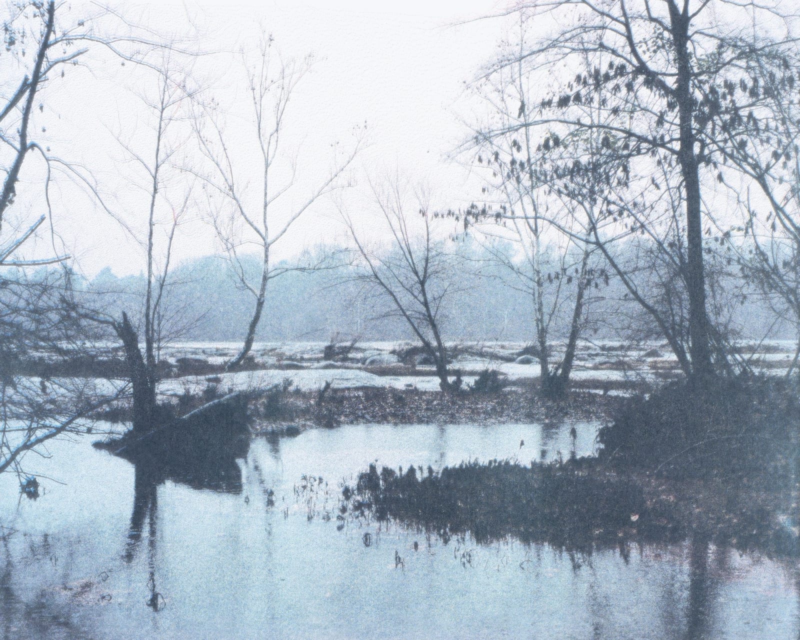 Peter Cochrane, Year One, Winter, 2020