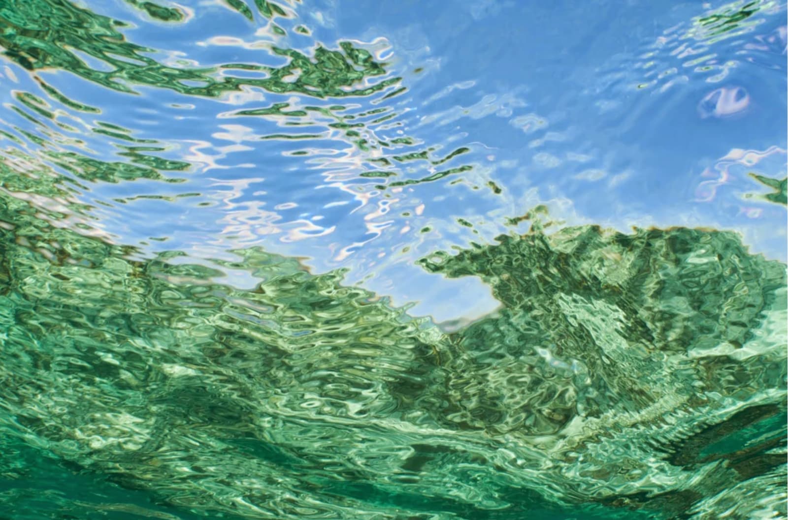 Penny Ashford, Reef Reflection 2