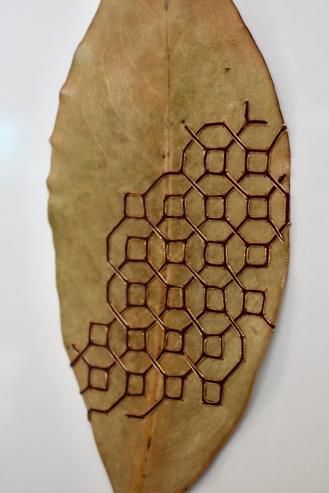 Hillary Waters Fayle, Pattern Overlays iii, 2022