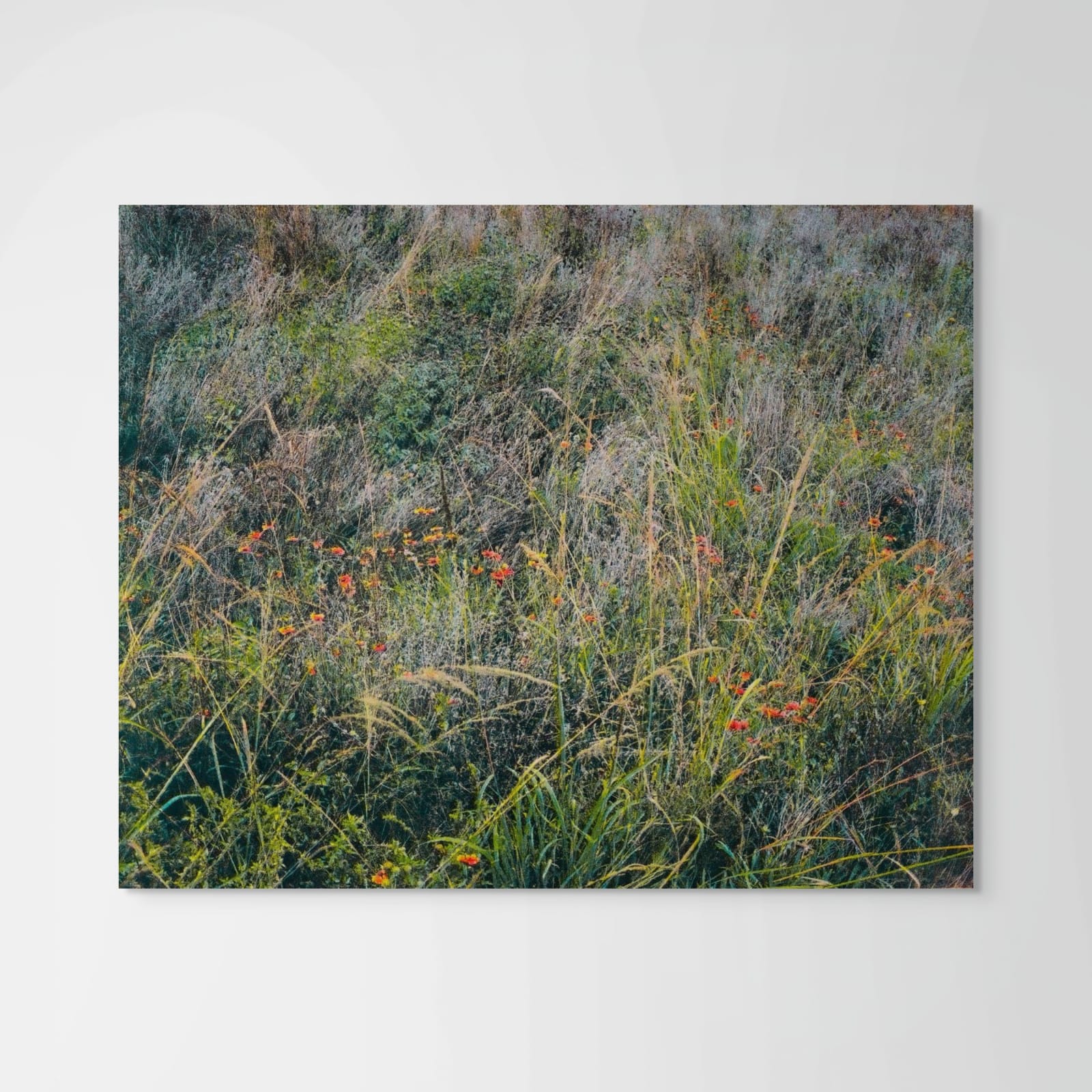 Peter Cochrane, Year Three, Spring, 2022