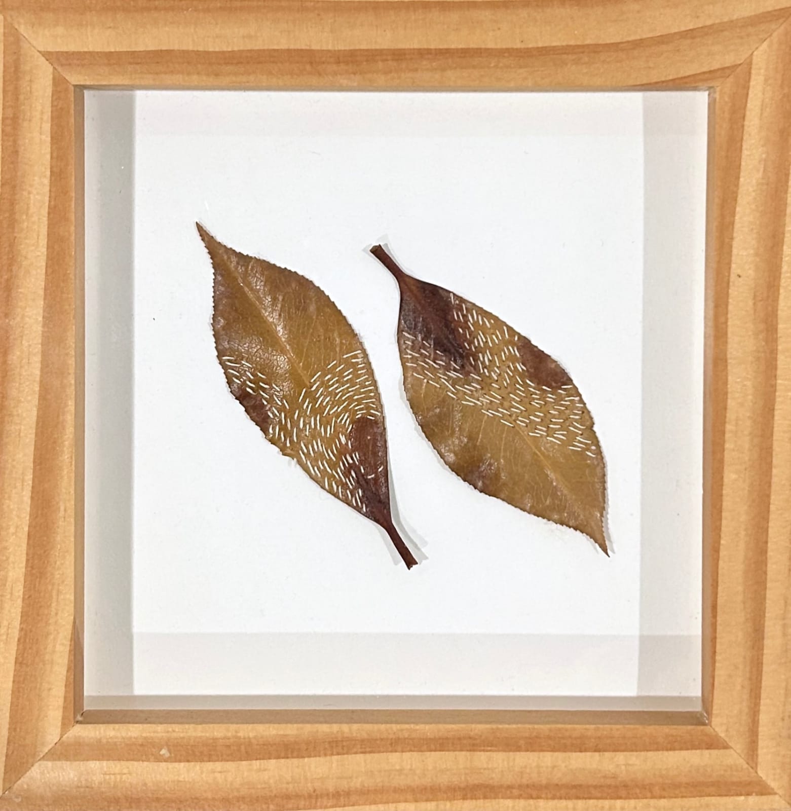 Hillary Waters Fayle, Stitched Botanical 5, 2023