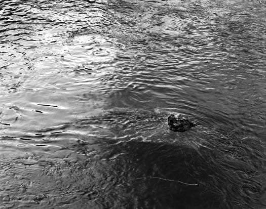 William Wylie, Cache la Poudre River #22, 2000