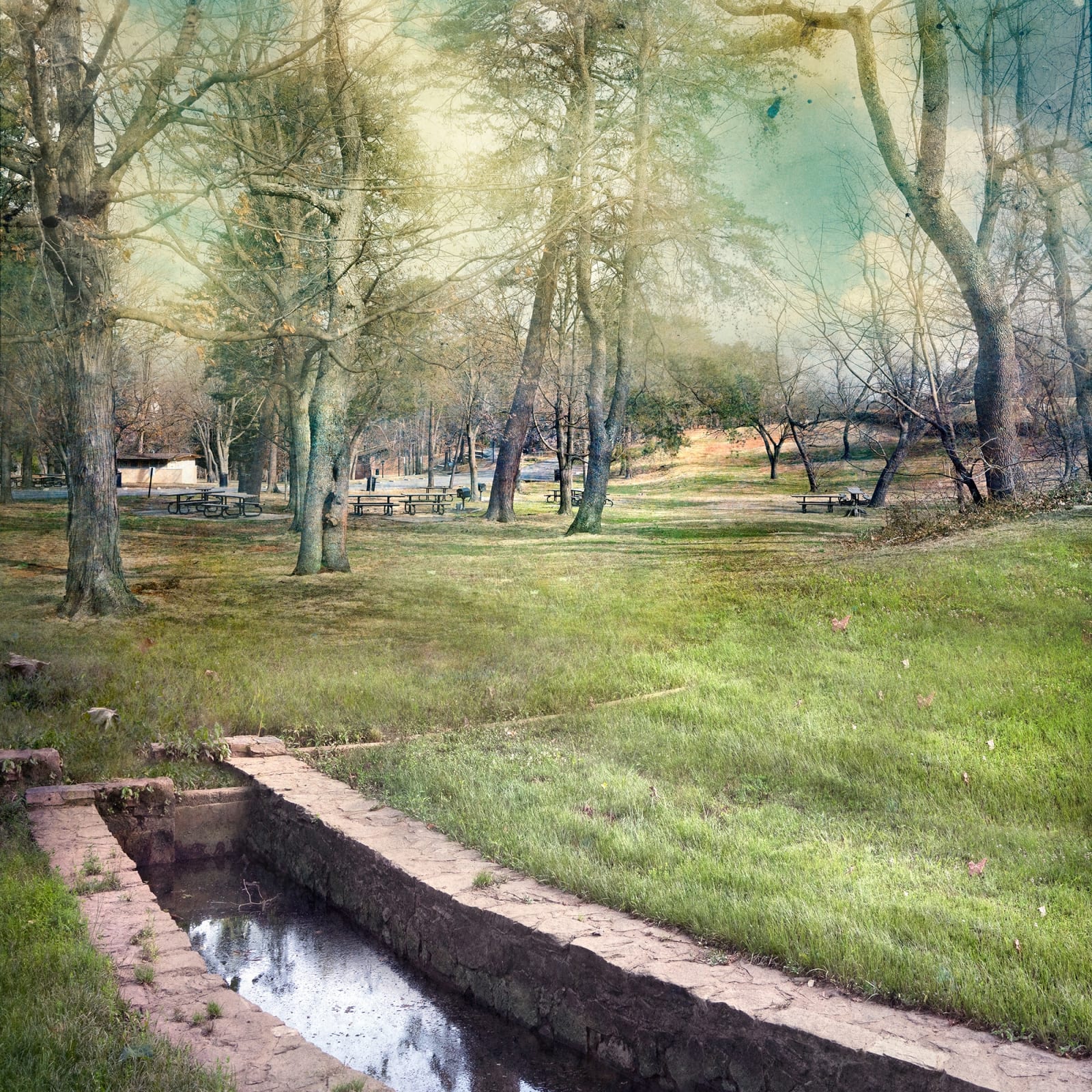 David Douglas, Invented Landscape at Fort Ward, 2022