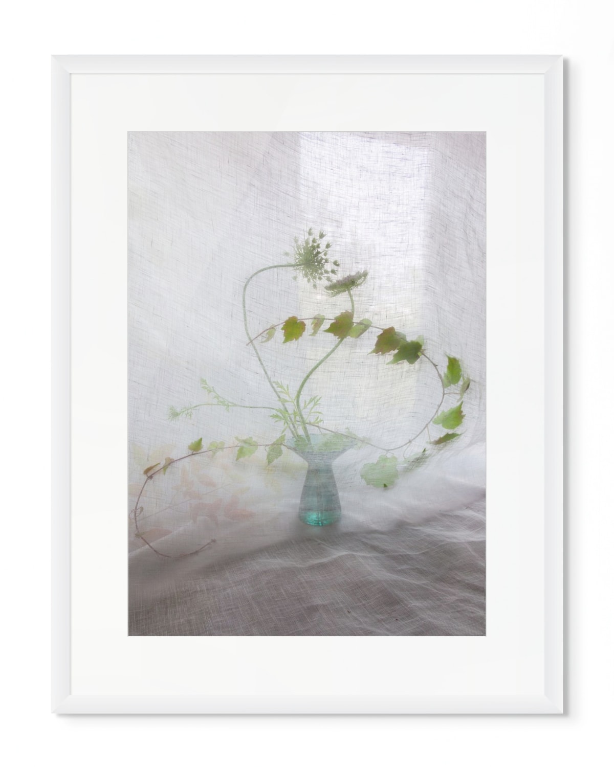 Pam Fox, Vines, 2026