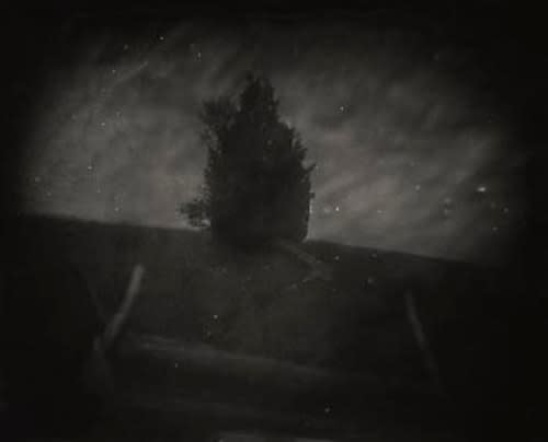 Sally Mann, Untitled, Manassas #28, 2001