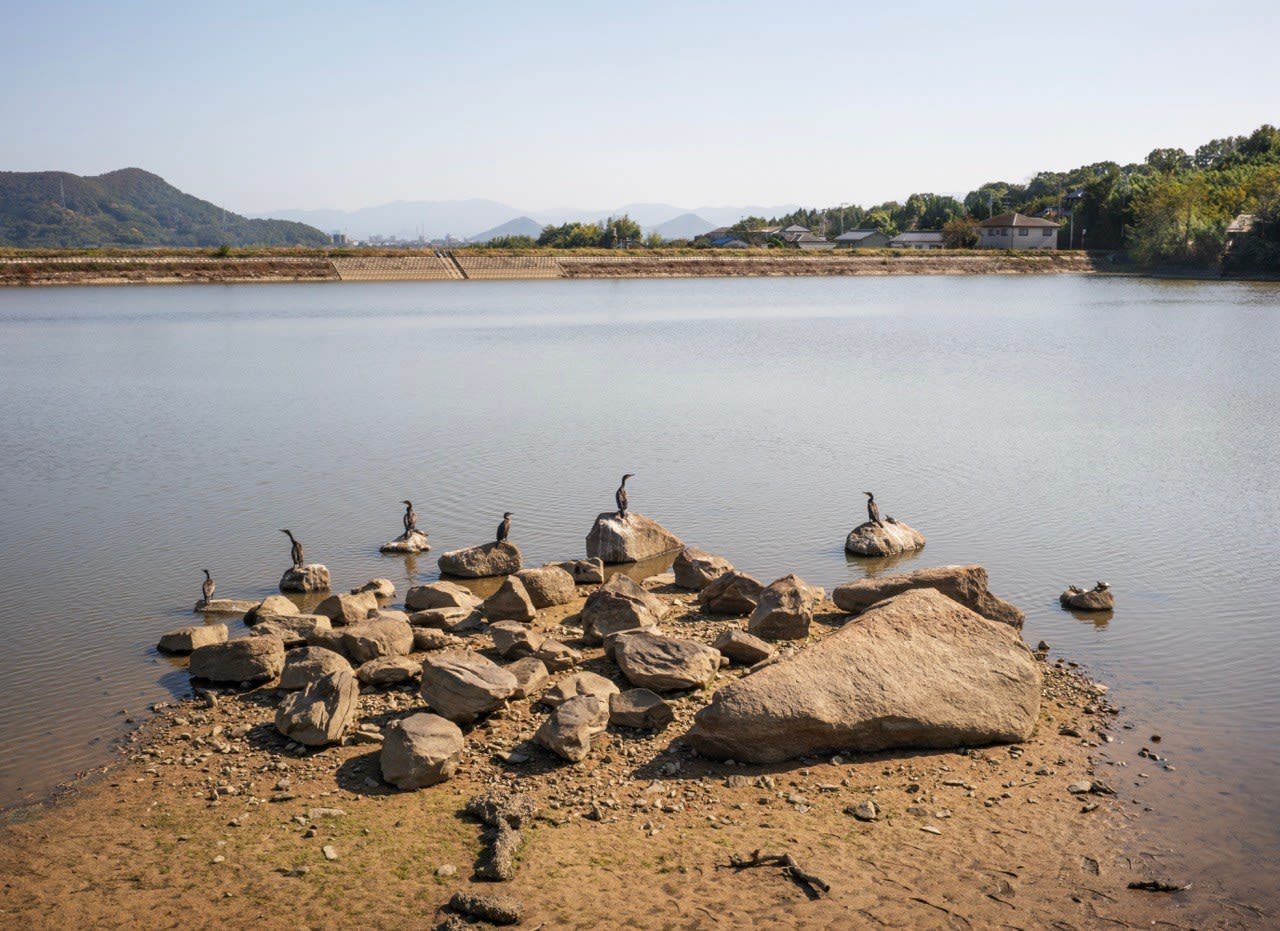 William Wylie, Shikoku 17-78, 2024