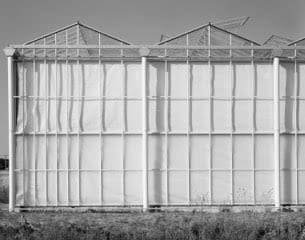William Wylie, 13-45-013, Greenhouse near Kleve, Germany, 2018