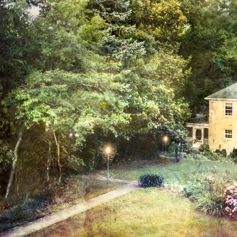 David Douglas, Large Study Marcy's Yard, 2025