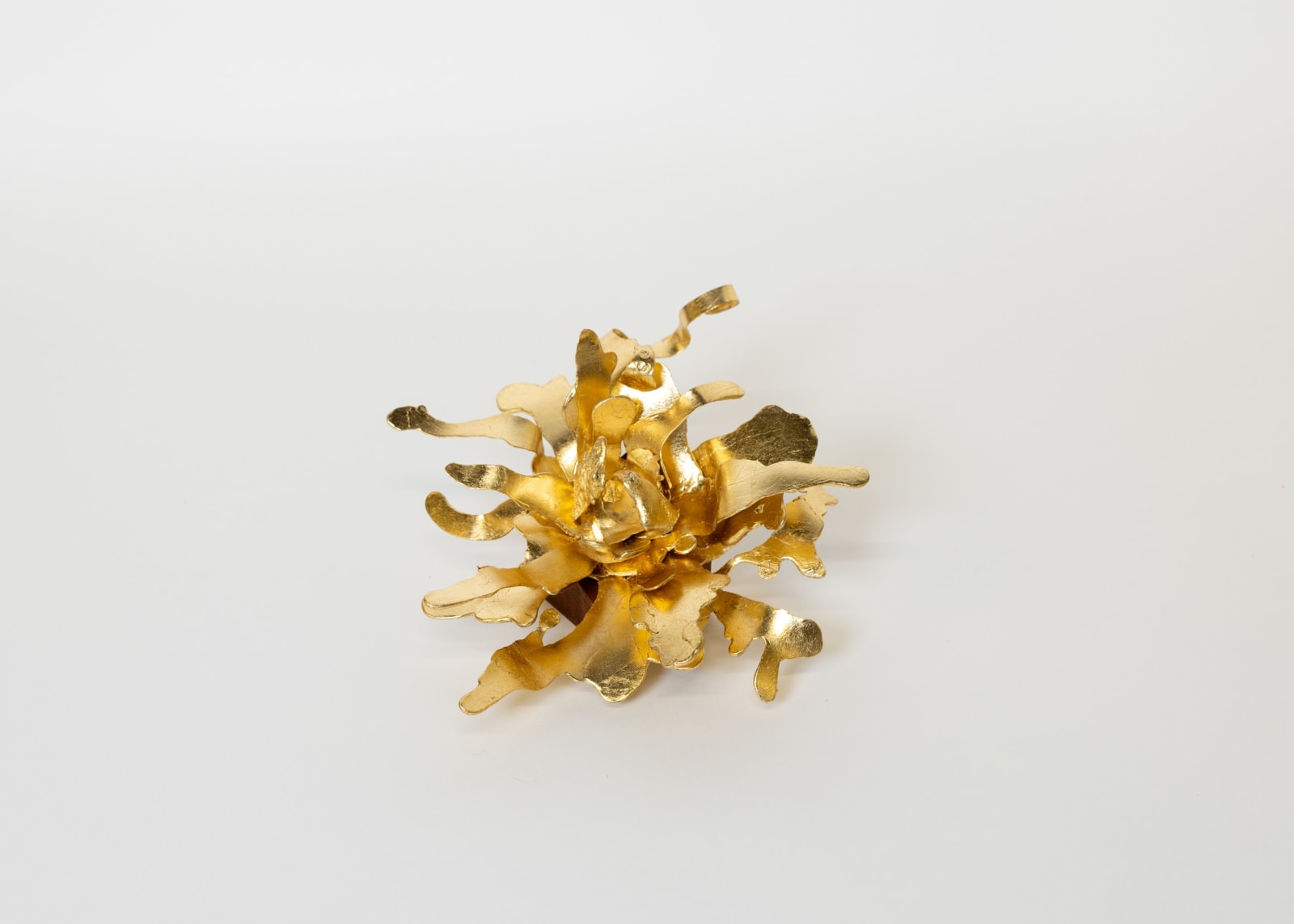 Peter Cochrane, The Alchemist’s Garden - Gold