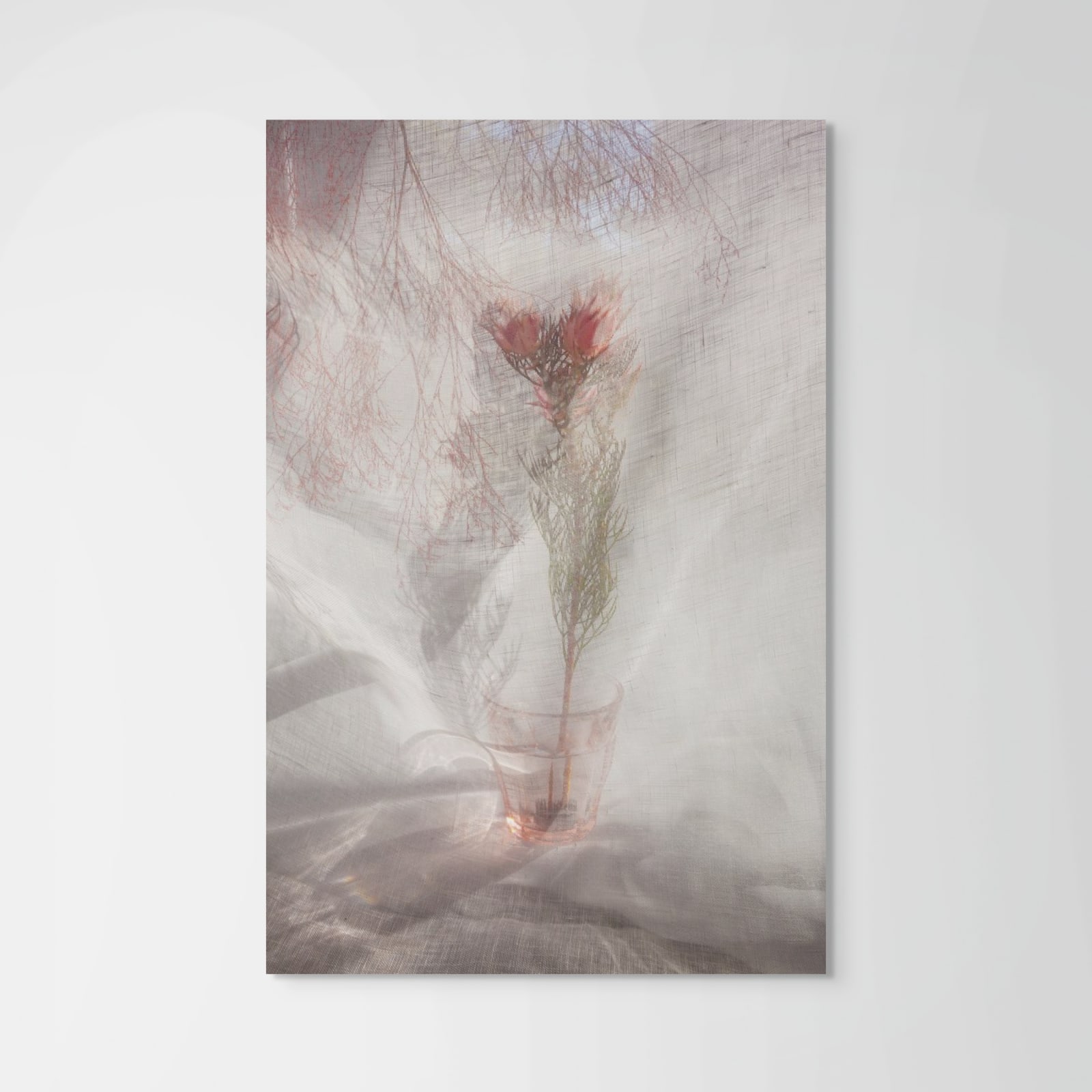 Pam Fox, Pink cup and flower, 2024