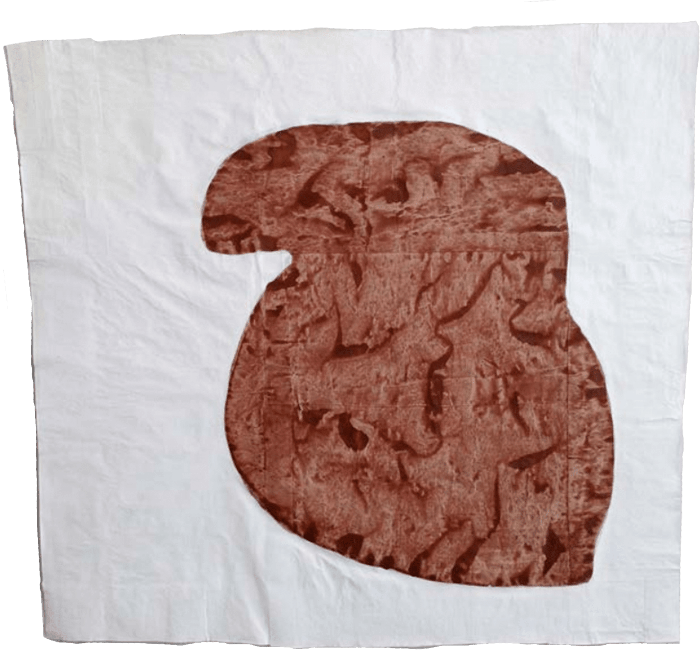 Nancy Murphy Spicer, Disrupted Drawing Small 28, 2015