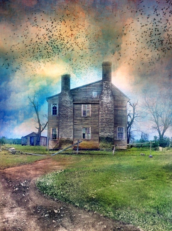 David Douglas, Virginia Bird Dance, 2025