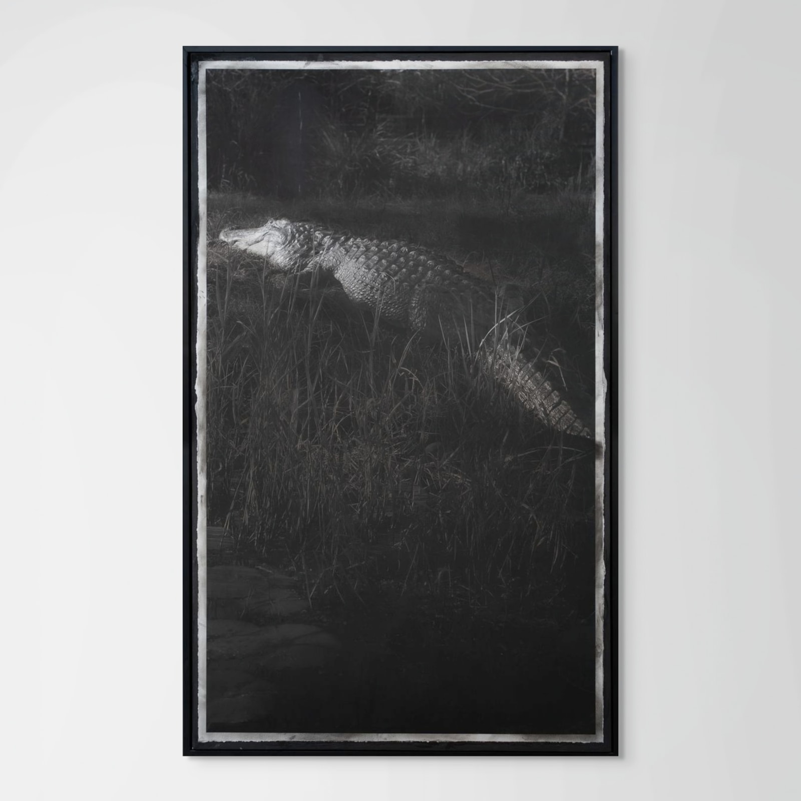 Caroline Minchew, Obadiah's Okefenokee, 2024