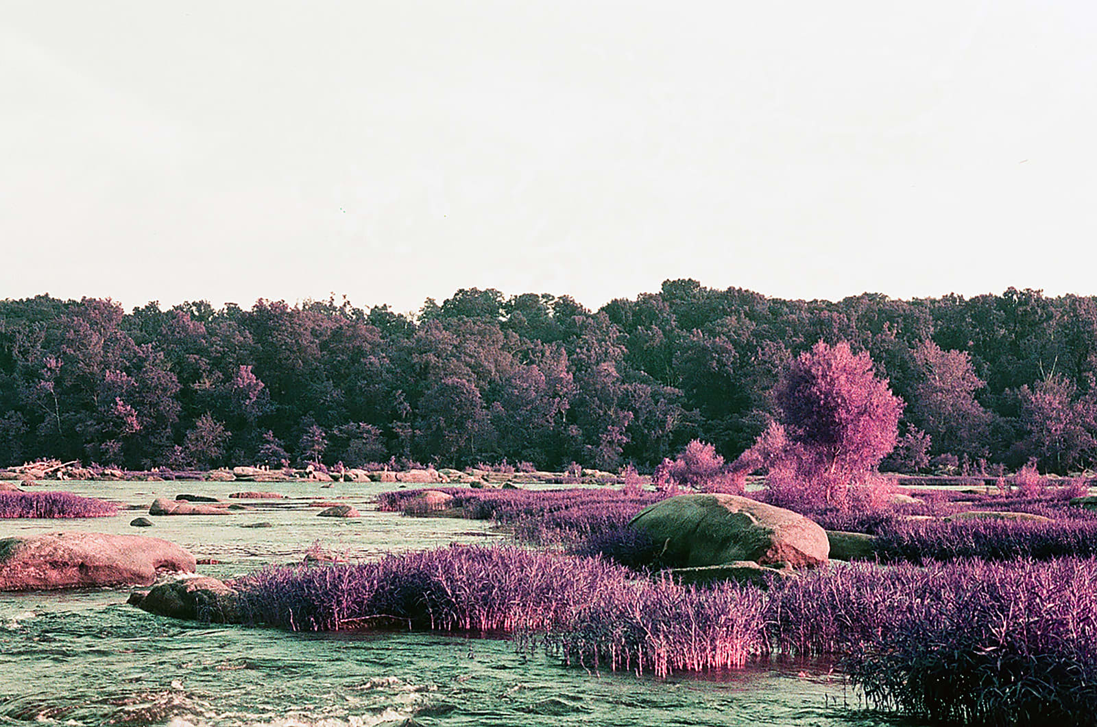 Cate Duckwall, Wetlands 3, 2023