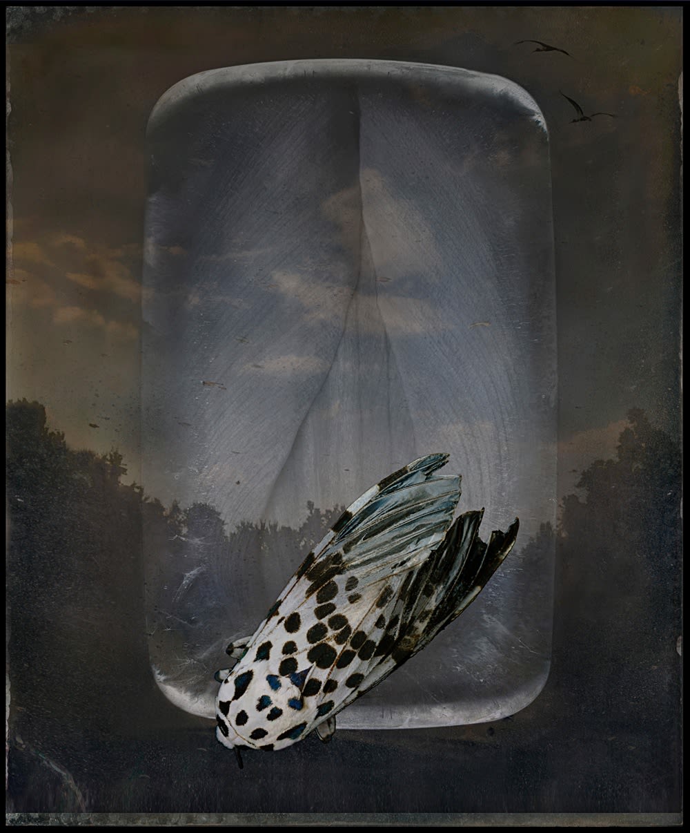 John Grant, Mother Magritte (from Fairy Tales and Reveries series), 2008