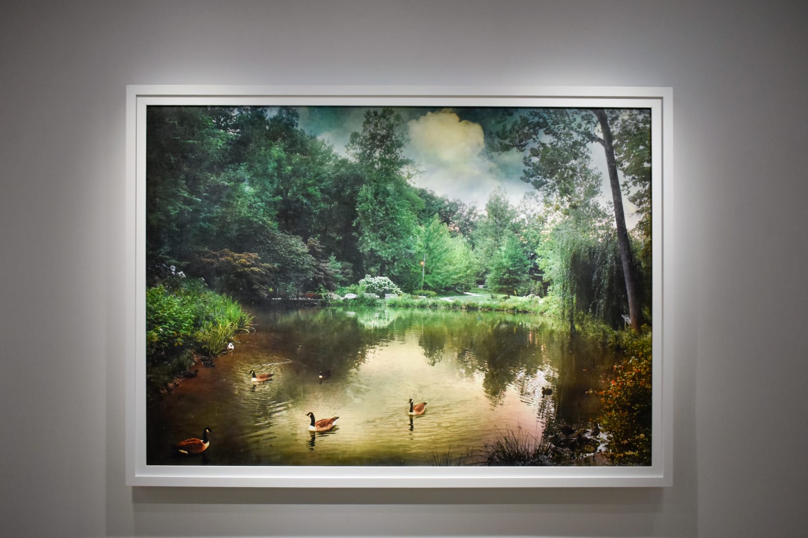 David Douglas, Wrong Way Goose, 2025