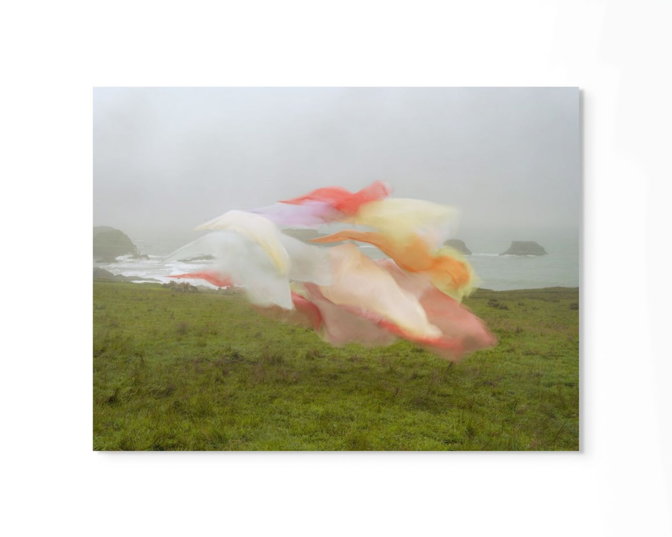 Thomas Jackson, Silk no. 8, Mendocino, California, 2024