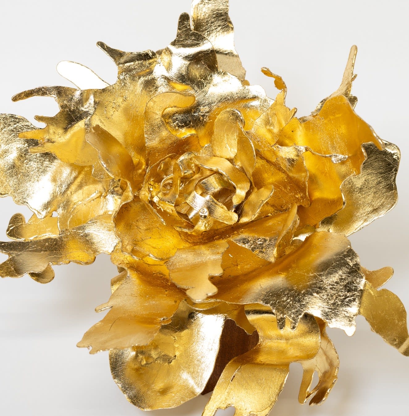 Peter Cochrane, The Alchemist’s Garden, 2025