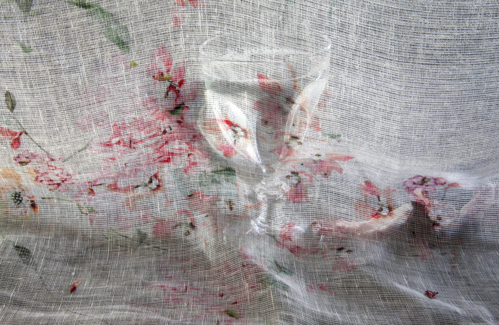 Pam Fox, Rind and Cup, 2018