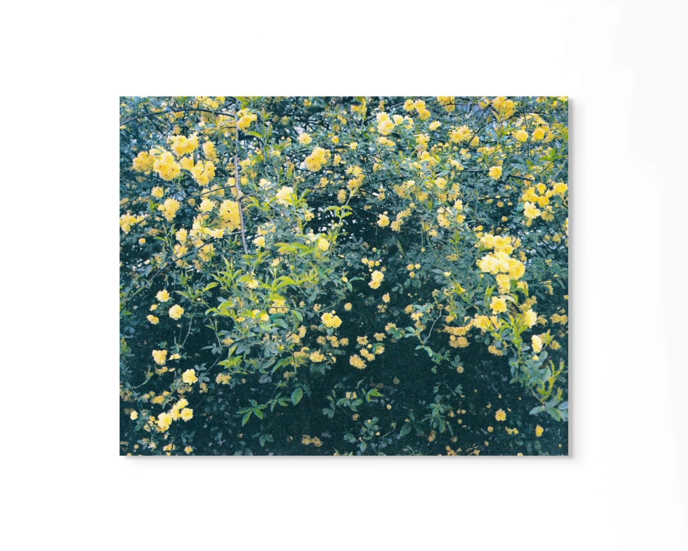 Peter Cochrane, Year Three, Summer, 2022